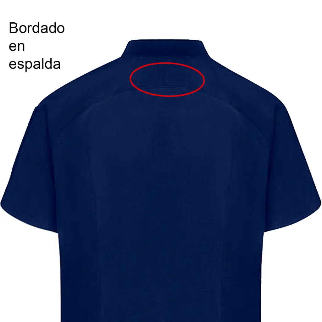 Espalda.webp